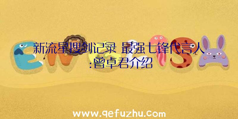 新流星搜剑记录